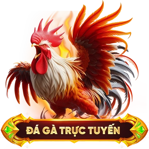 đá gà trực tuyến SIN88